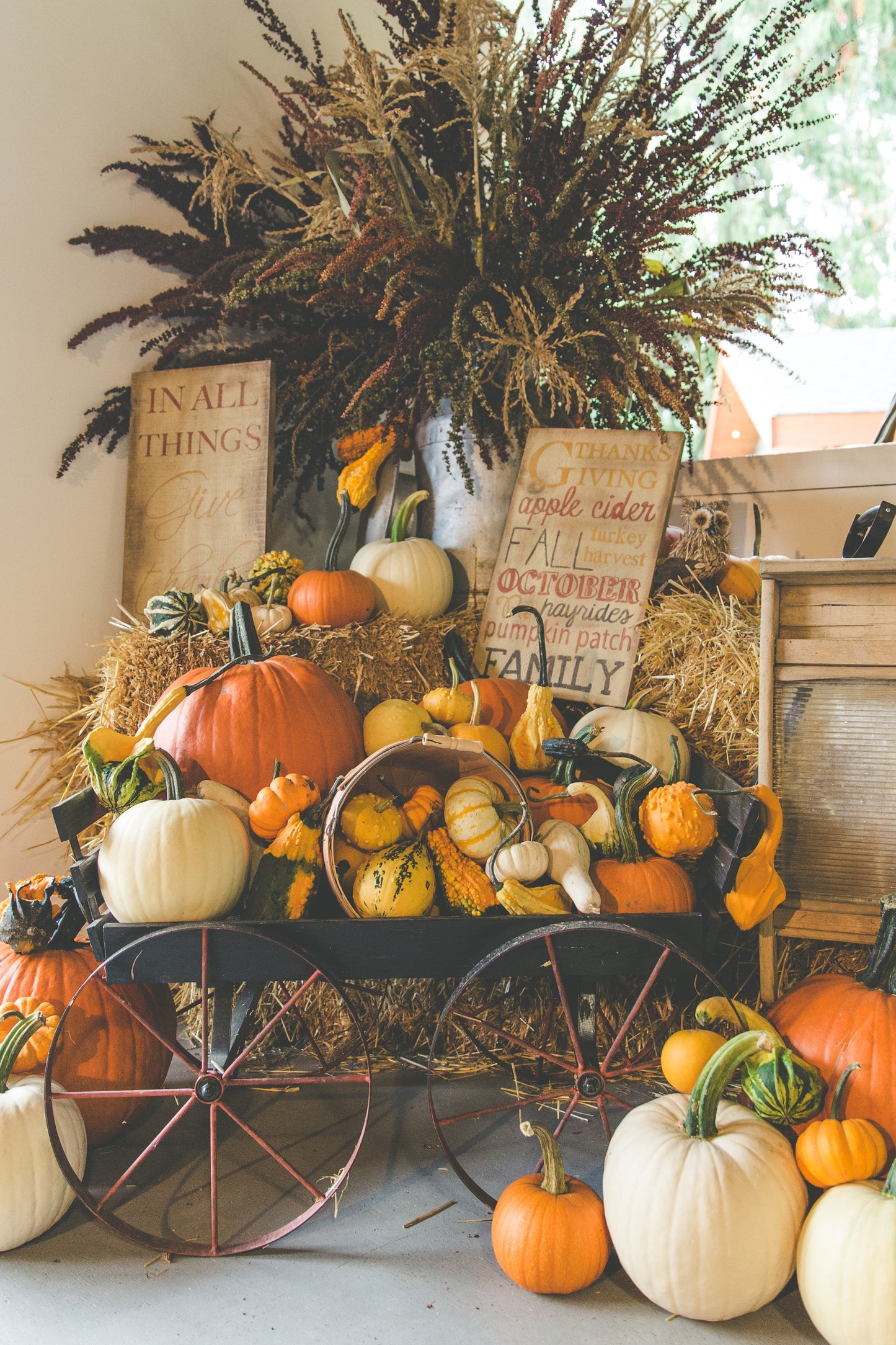 Pumpkin Fest 2023 Seasons Pass