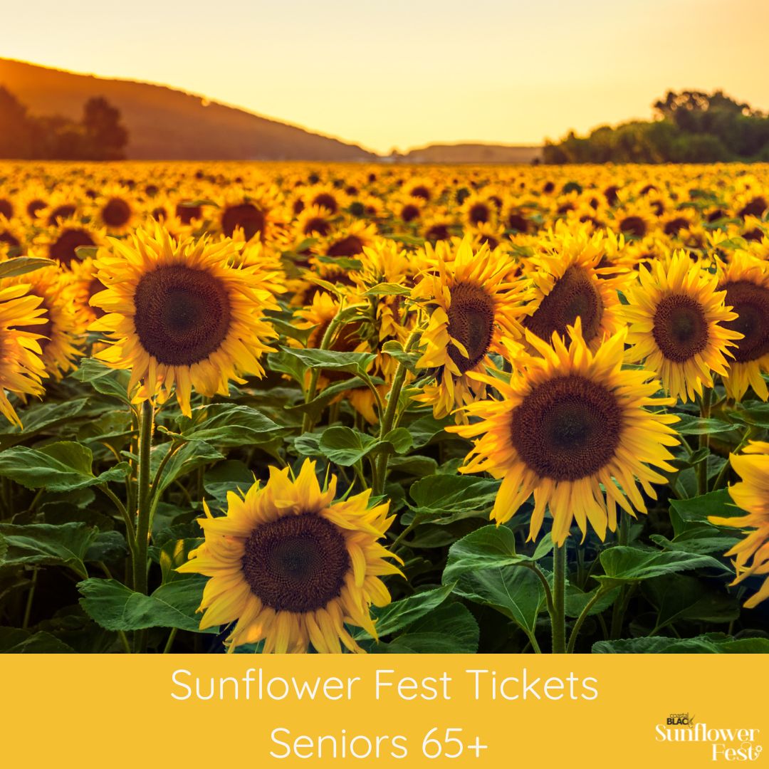 Sunflower Fest