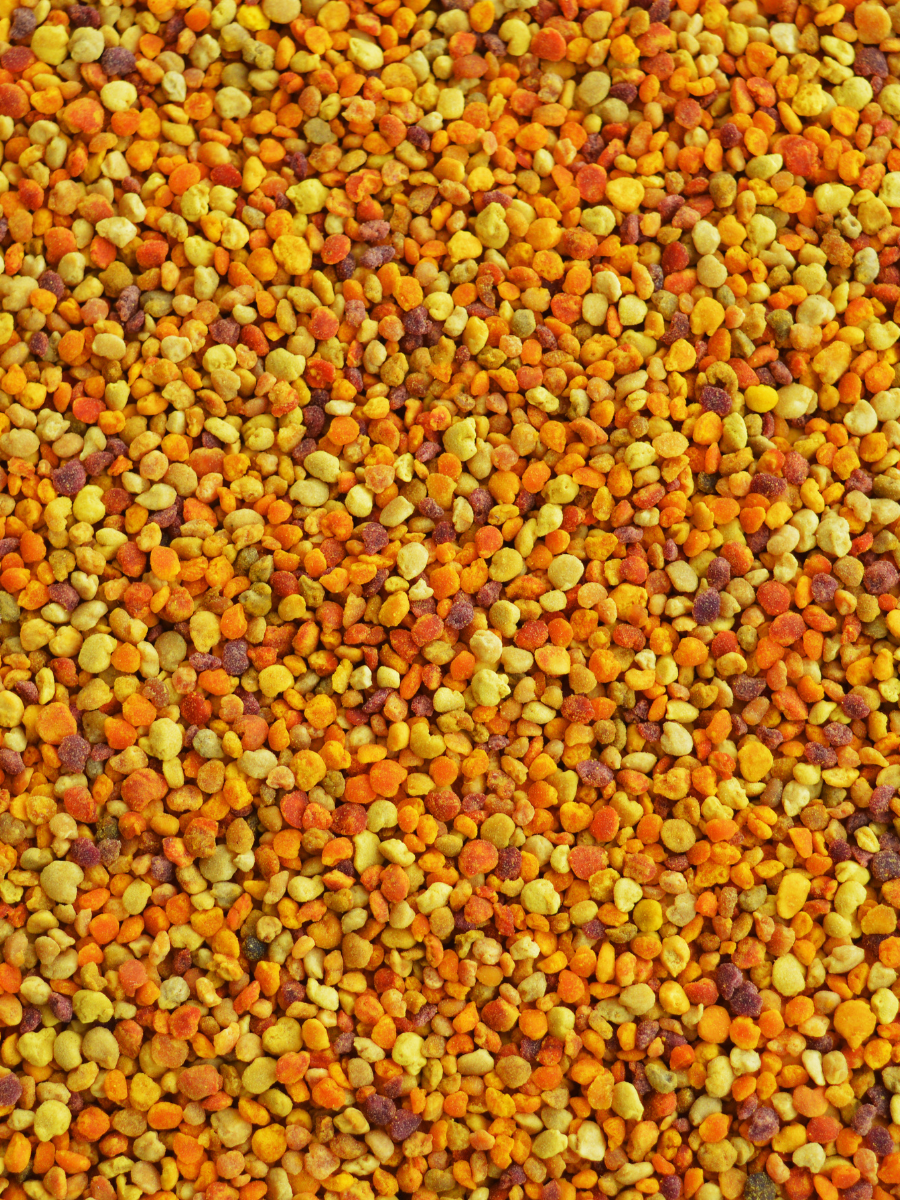1/2 lb Bee Pollen - Coastal Black