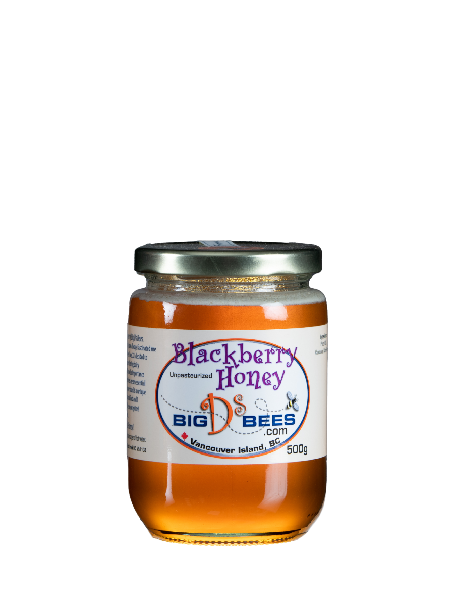 500g Jar of Blackberry honey front view