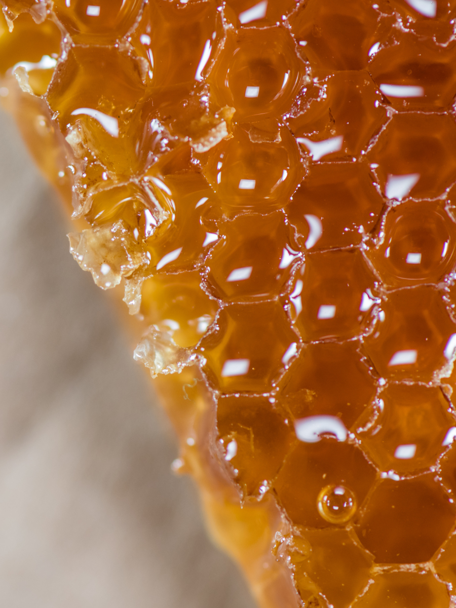 Creamy Honey - Coastal Black