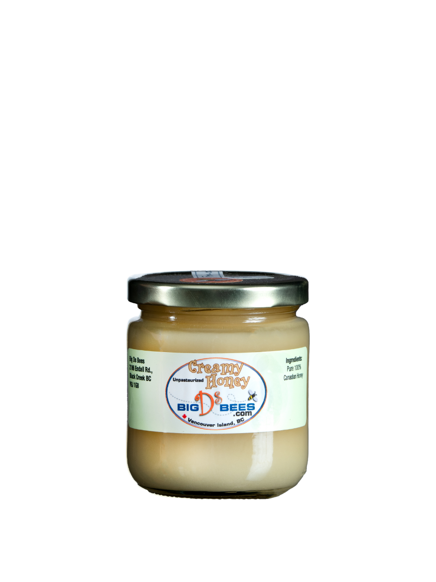 Creamy Honey - Coastal Black
