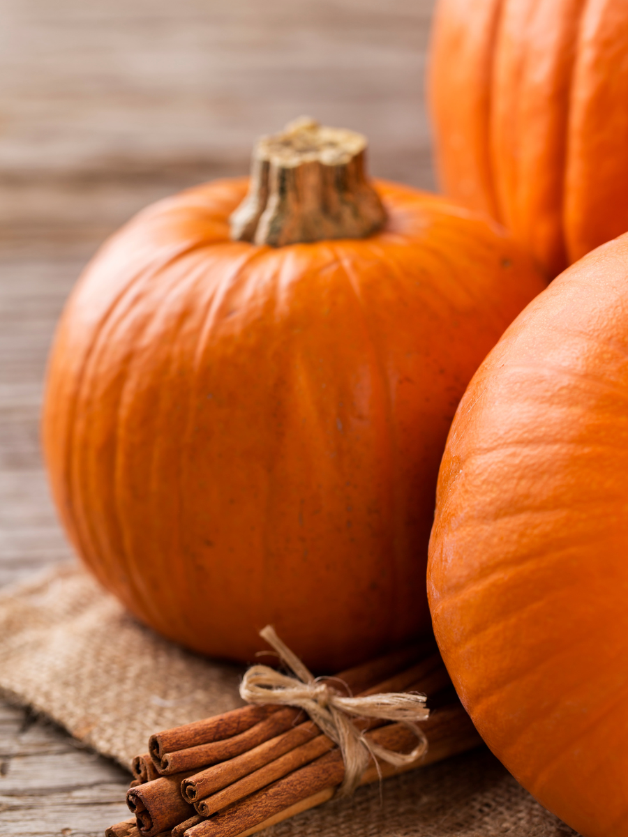 Pumpkin Spice Honey - Coastal Black