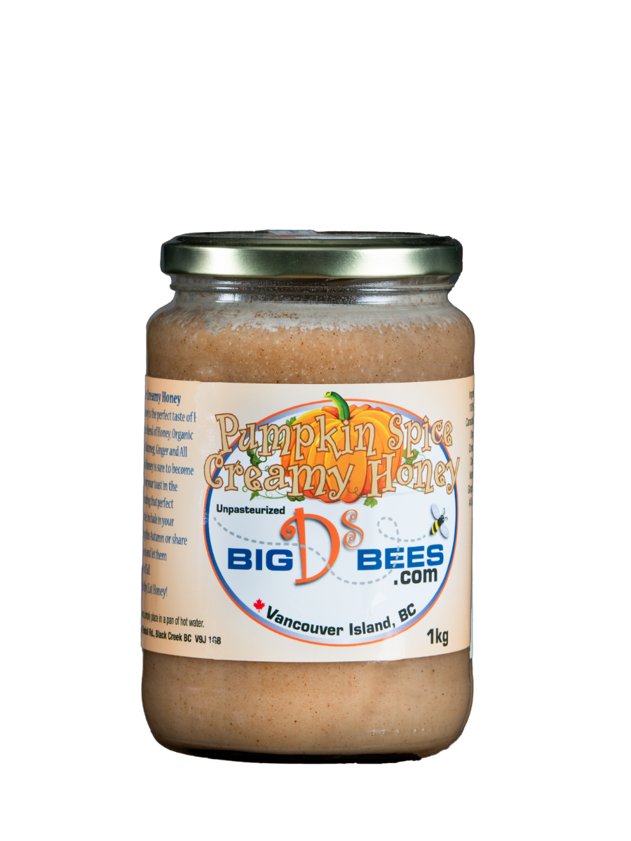 Pumpkin Spice Honey - Coastal Black
