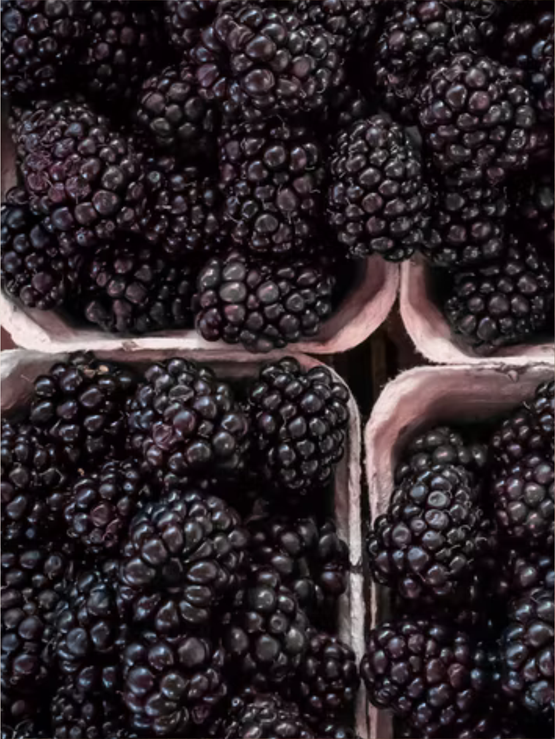 Second Page | Blackberry Apple Cider - Coastal Black
