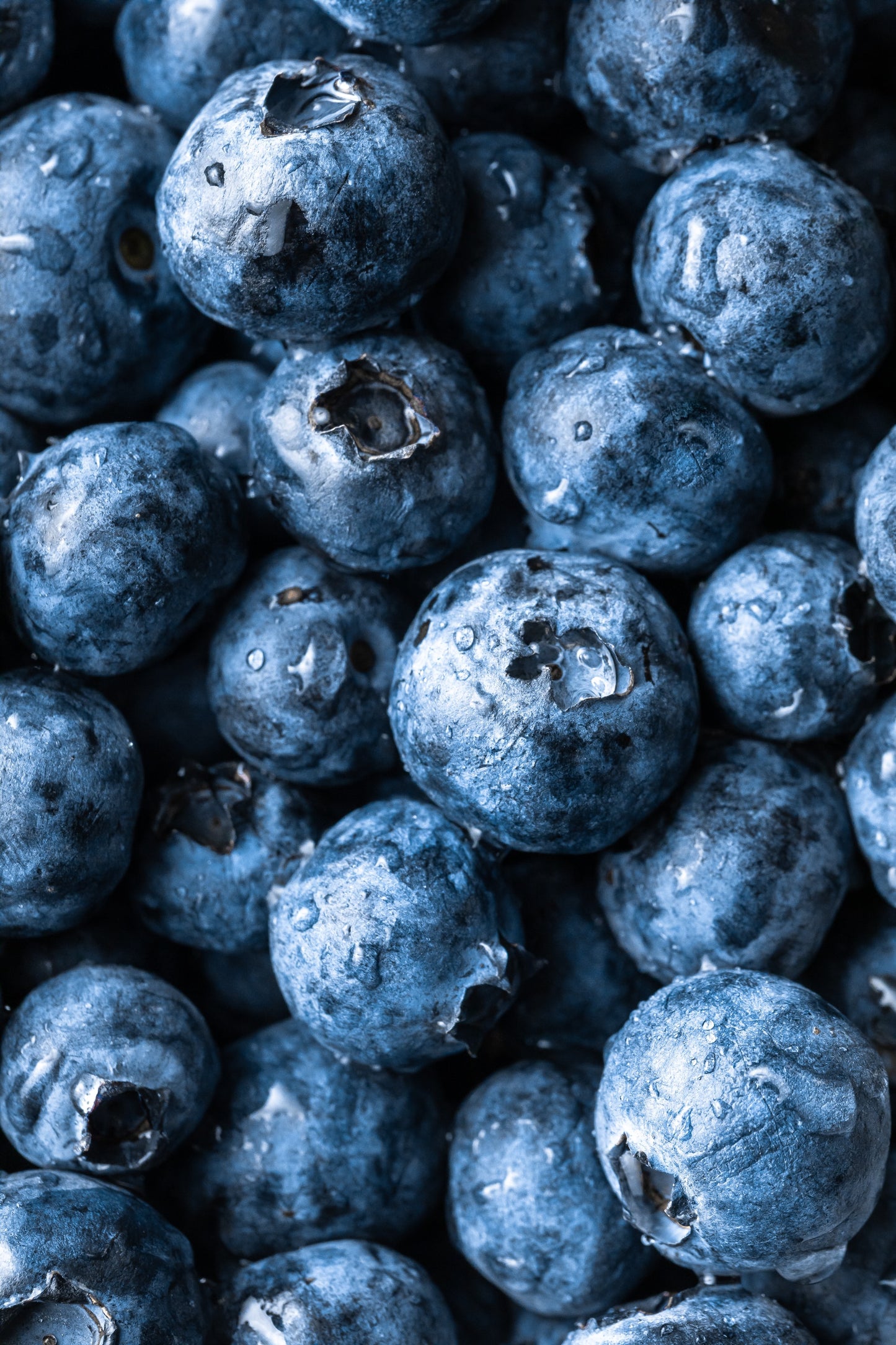 Blueberry Table Wine - Coastal Black