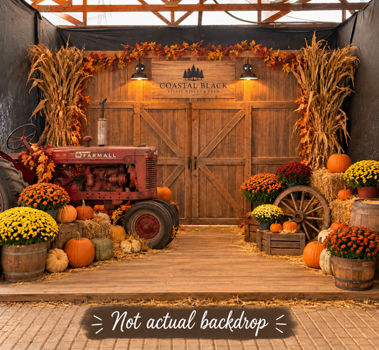 Pumpkin Fest Photo Op - Friday October 30 2026