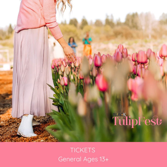Tulip Fest 2026