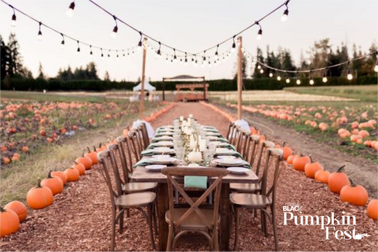 pumpkin festival comox