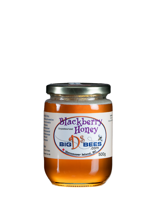 500g Jar of Blackberry honey front view