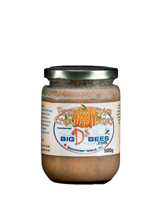 Pumpkin Spice Honey - Coastal Black